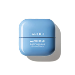 Water Bank Blue Hyaluronic Intensive Cream SG 2411